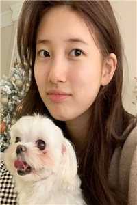 在弹幕文里手撕绿帽剧本全文免费