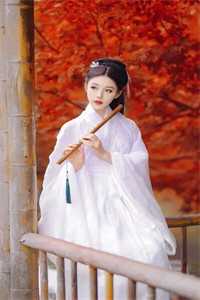 锦春乱云祉顾元柔小说