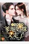 模拟模拟就无敌了林风火爷无删减+无广告